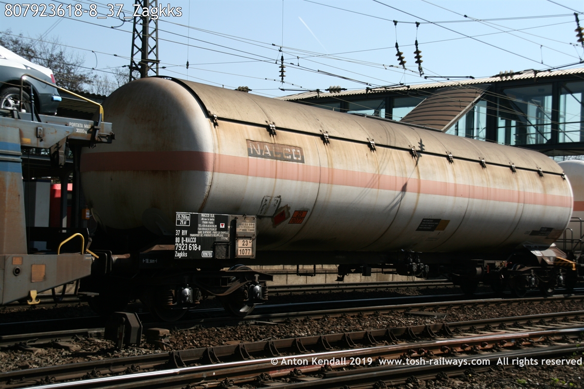 807923618-8_37_Zagkks.JPG